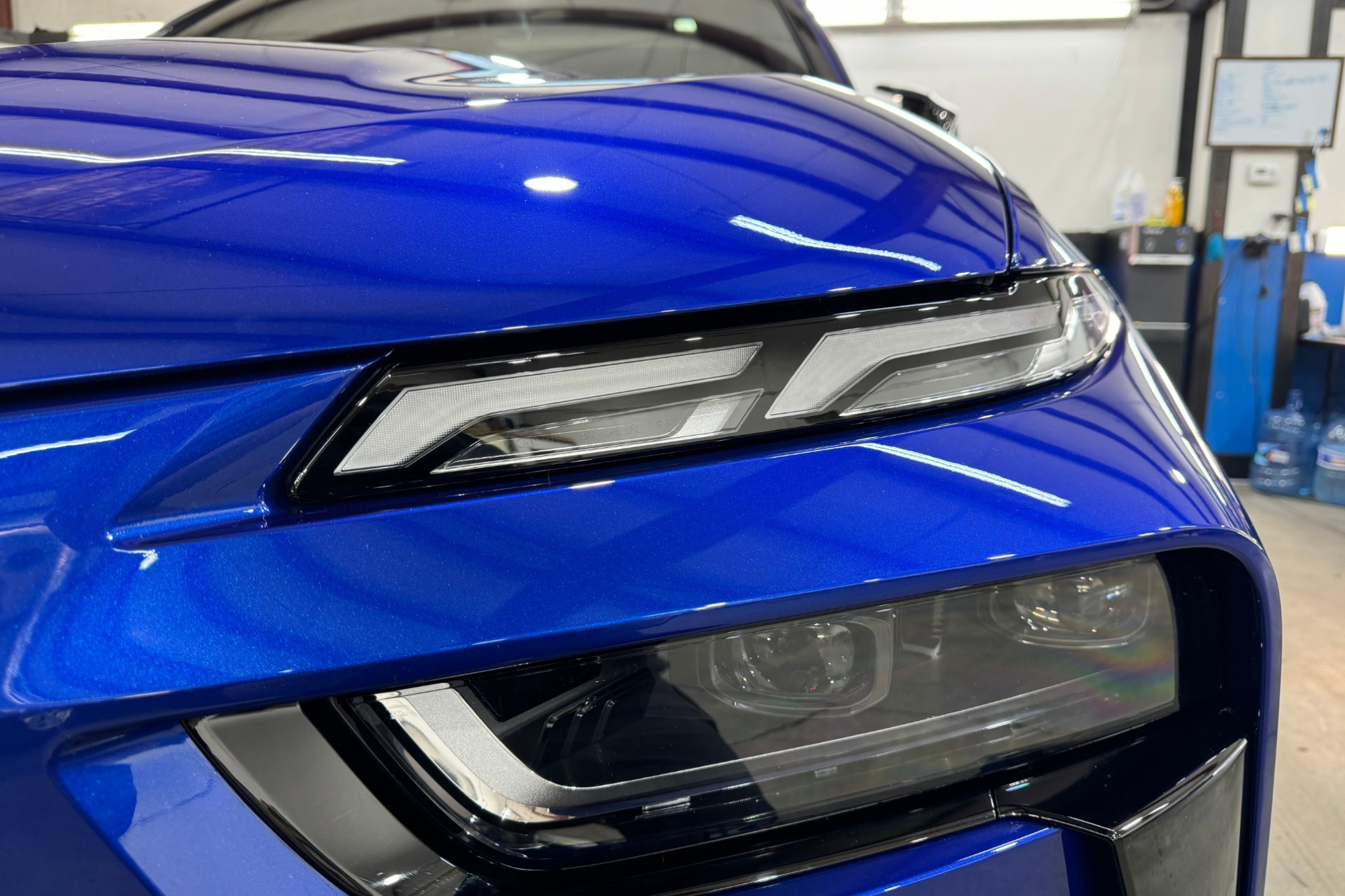 paint protection film