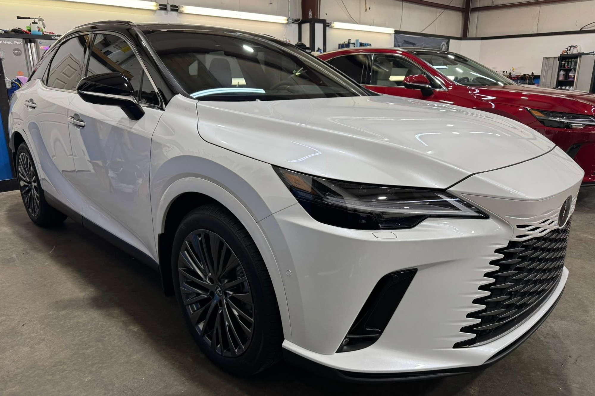 paint protection film raleigh nc