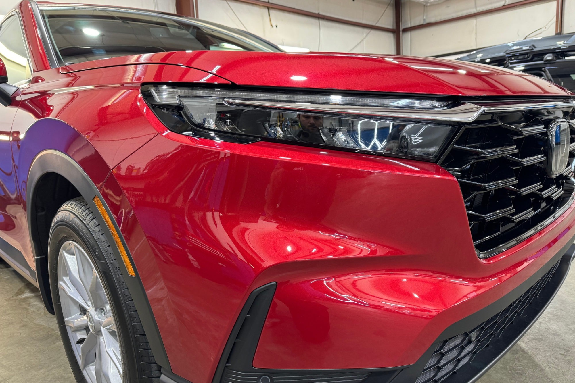 paint protection film raleigh nc 