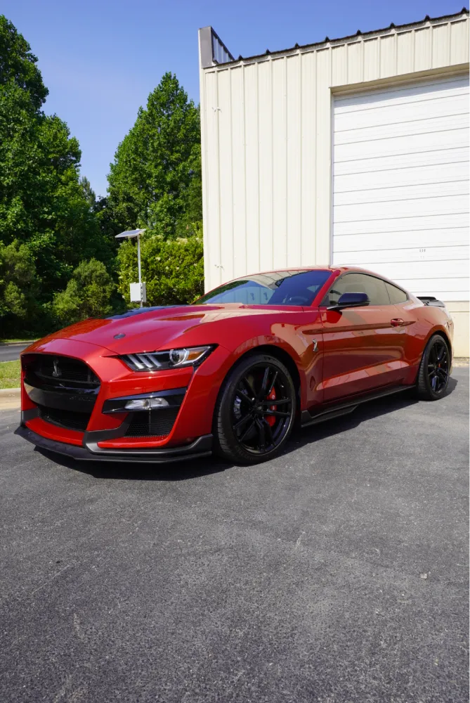 paint protection film
