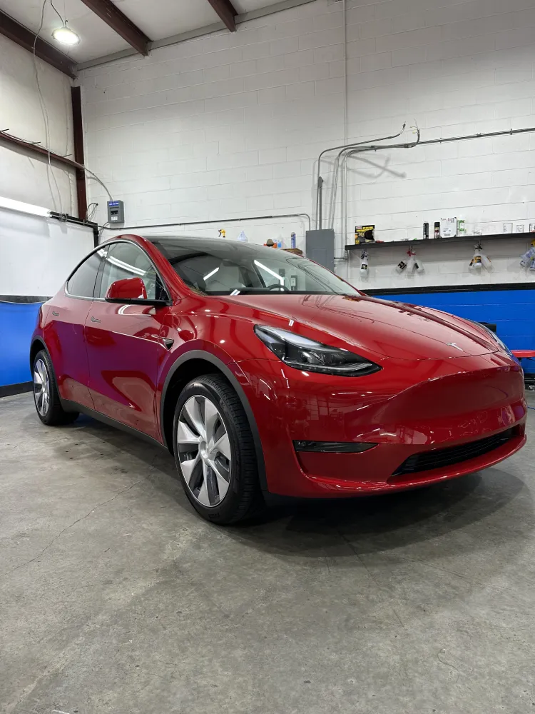 paint protection film